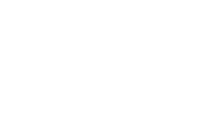 The Michelin Guide
